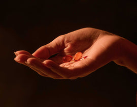 True Omegas+ Clinical Trial: The Inner Circle Results