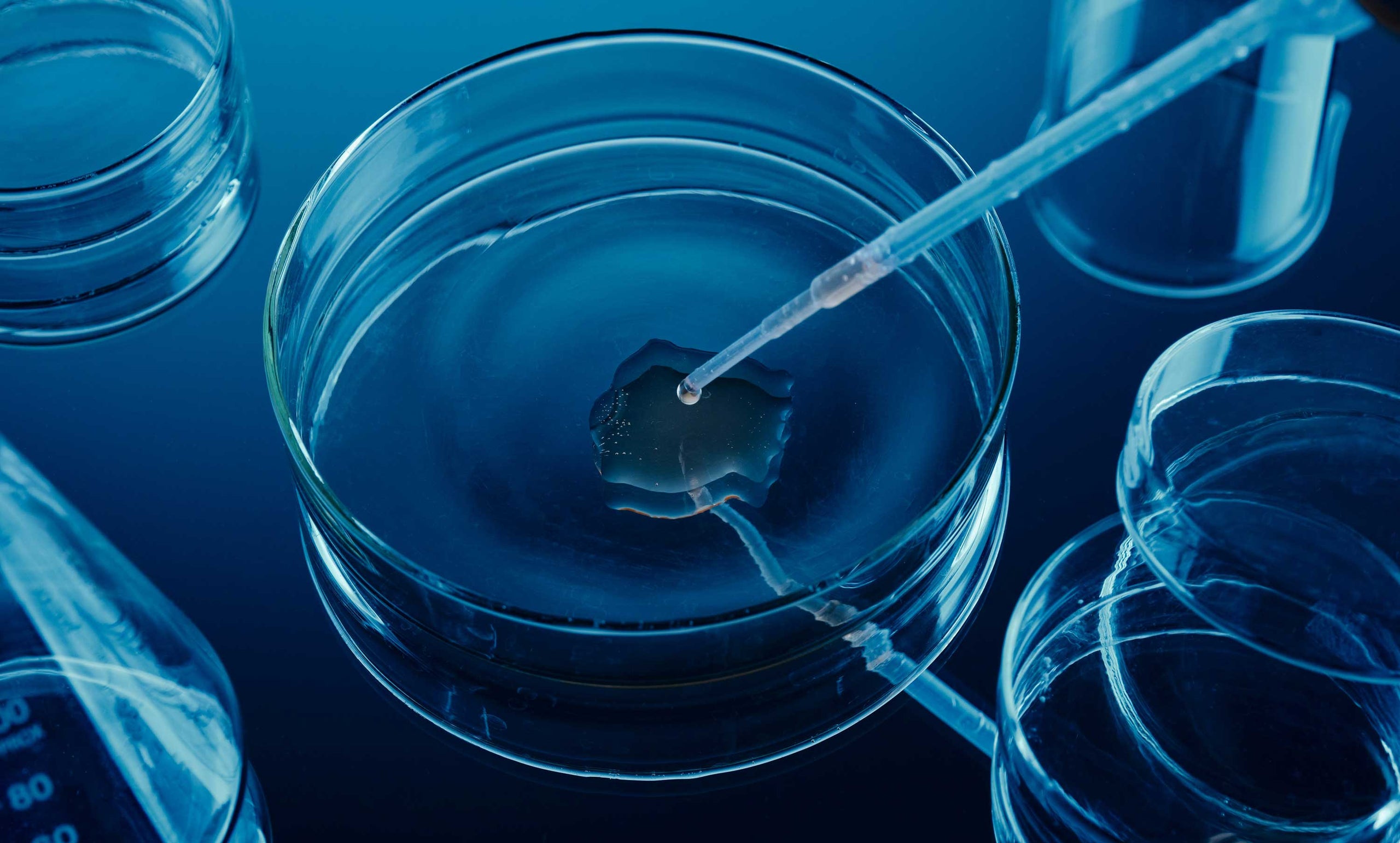 We have Partnered with Light Labs: How We’re Making Supplement Testing More Transparent