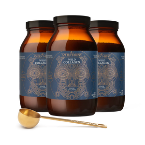Three jars of Ancient + Brave ‘Wild Collagen’ accompanied by a gold ritual scoop on a white background